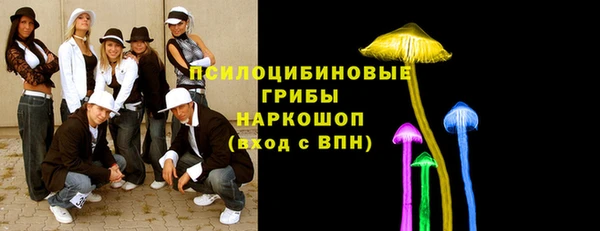сатива Навашино